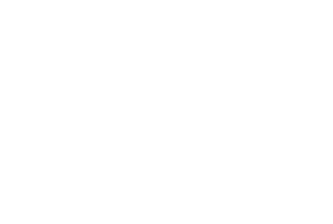 NSG로고이미지